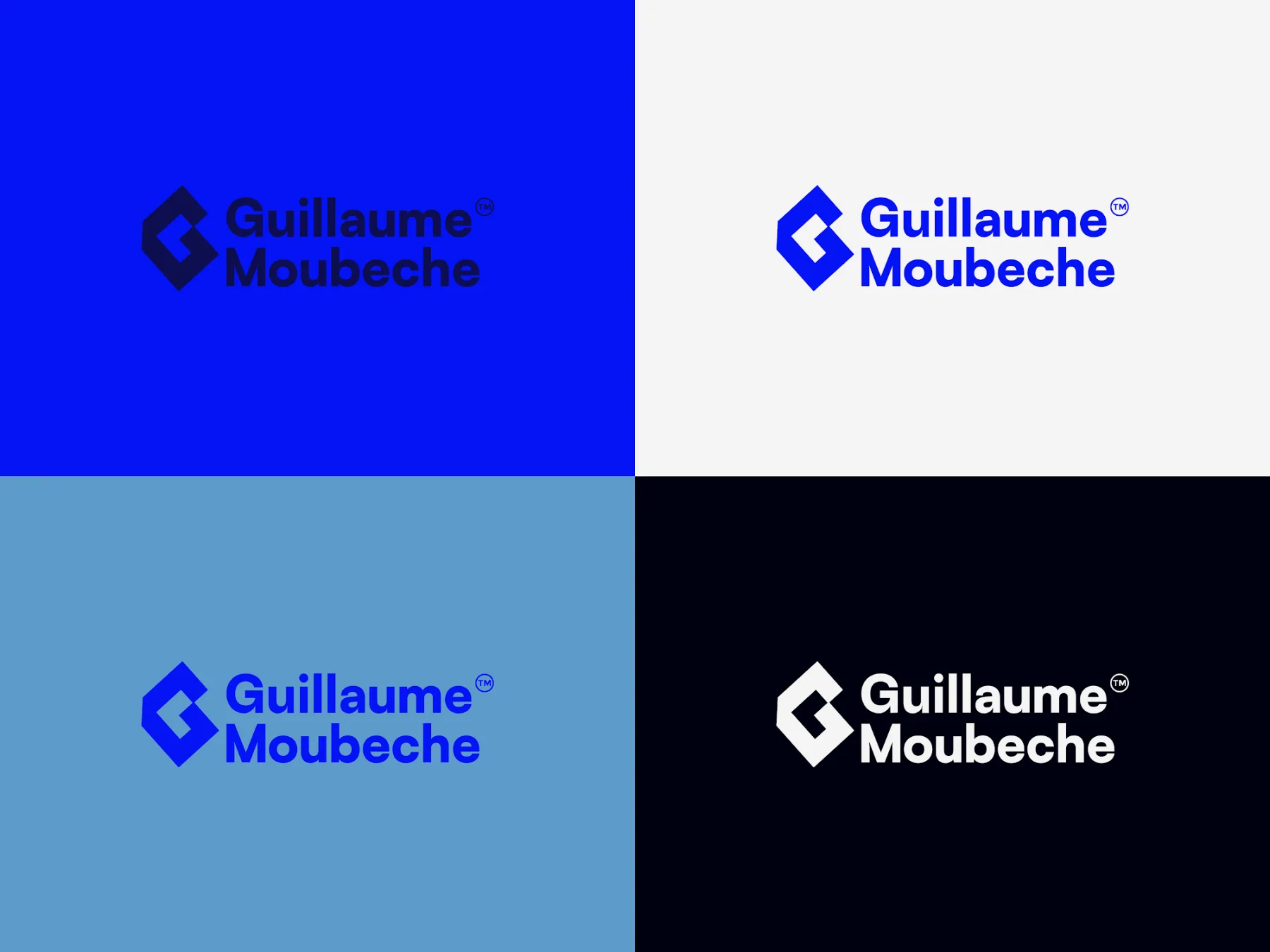 Les déclinaisons de couleur du logo