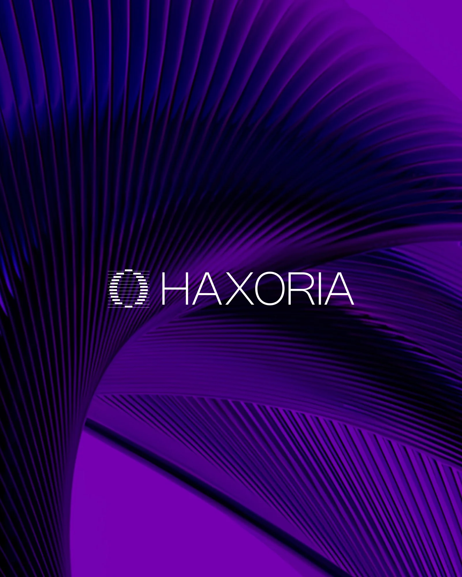 La couverture du brandbook Haxoria