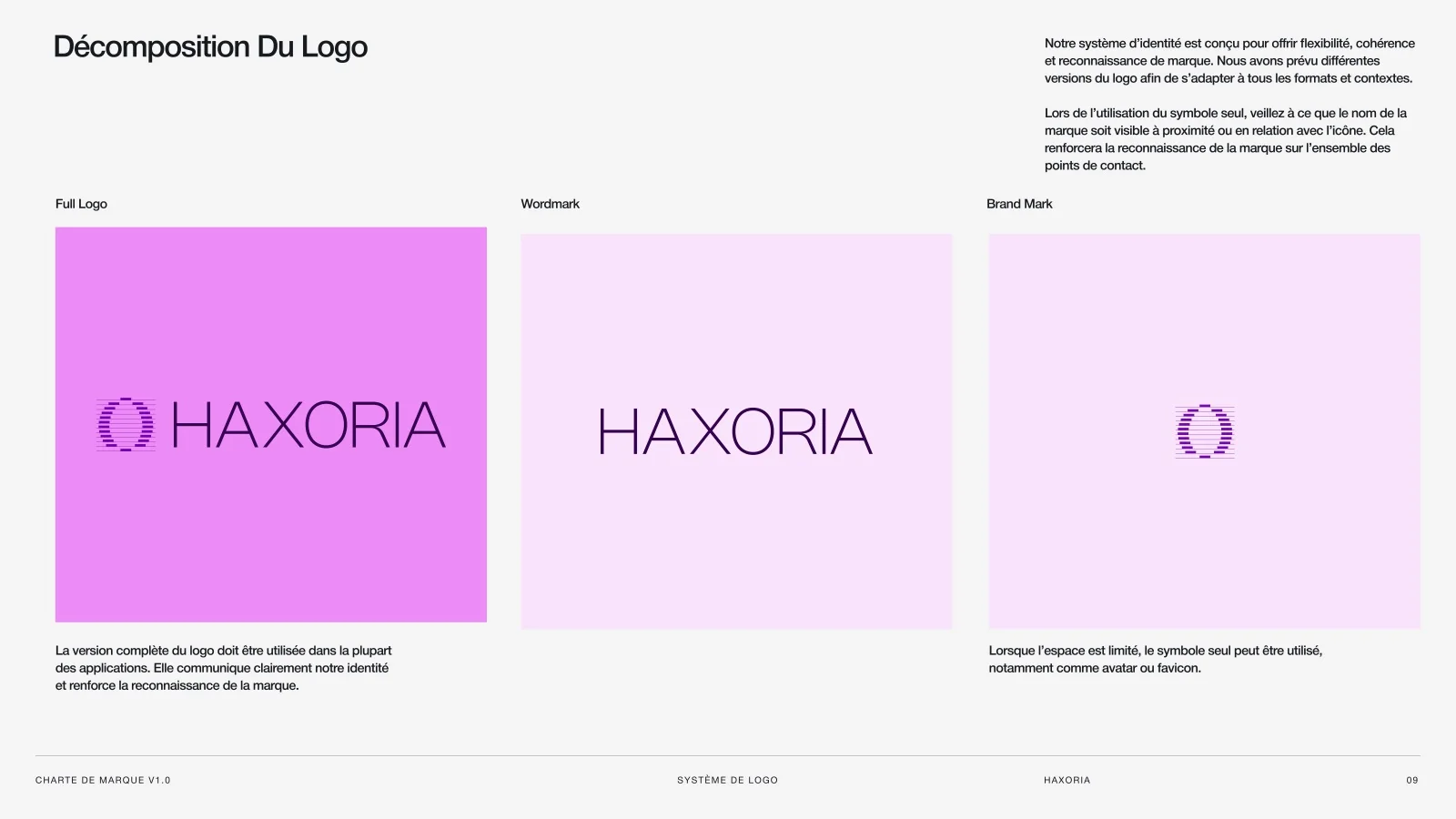 La décomposition du logo Haxoria