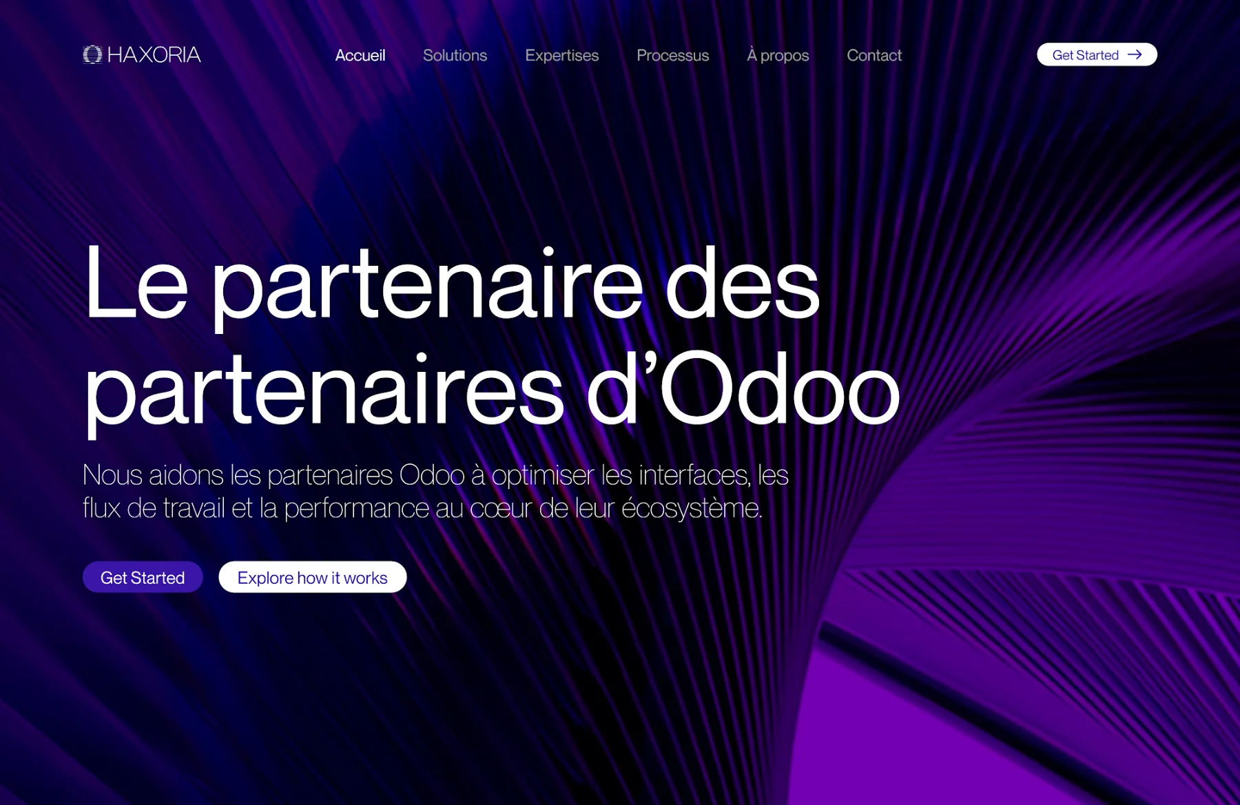 La section d'ouverture du site Haxoria