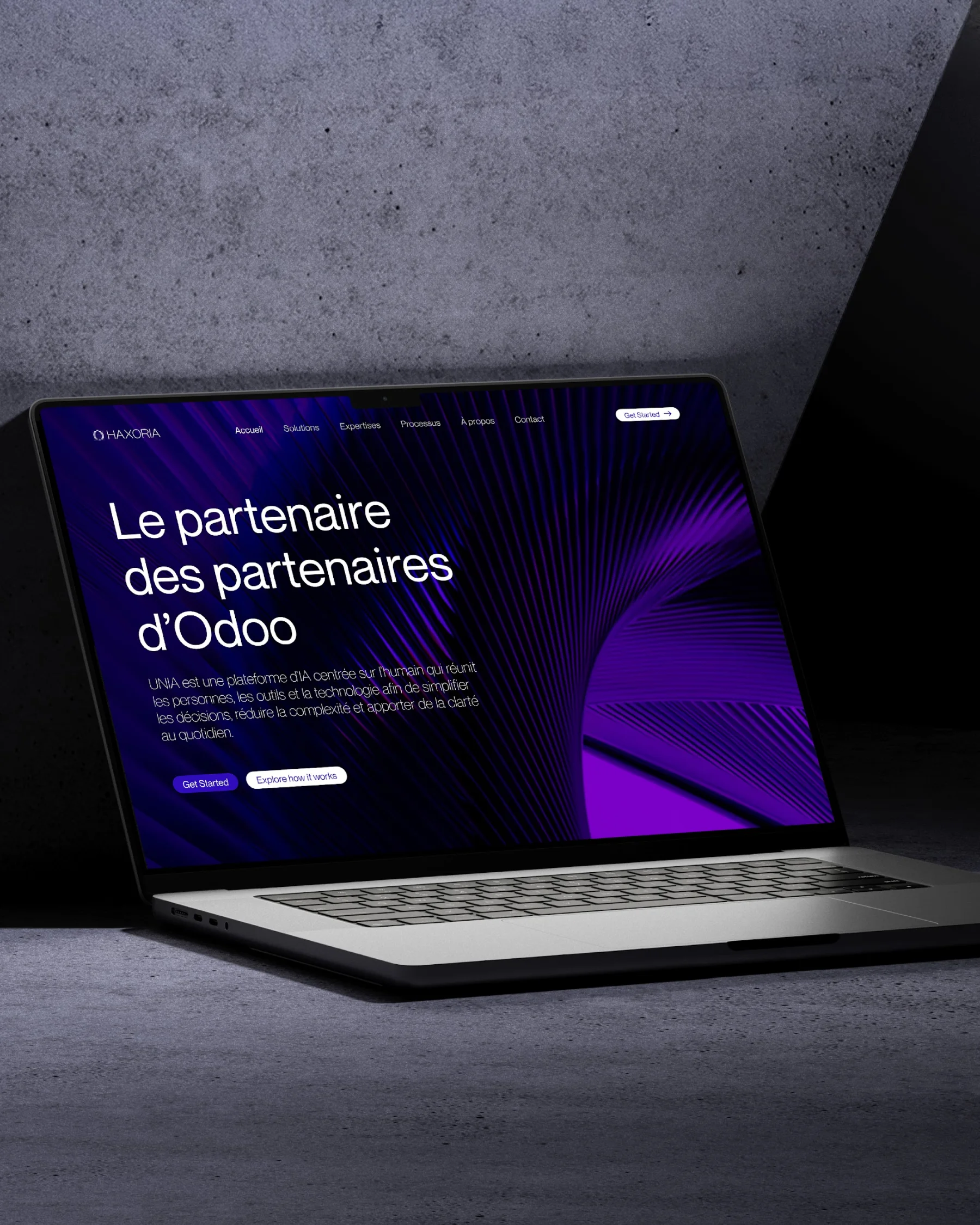 Le site Haxoria sur un ordinateur portable