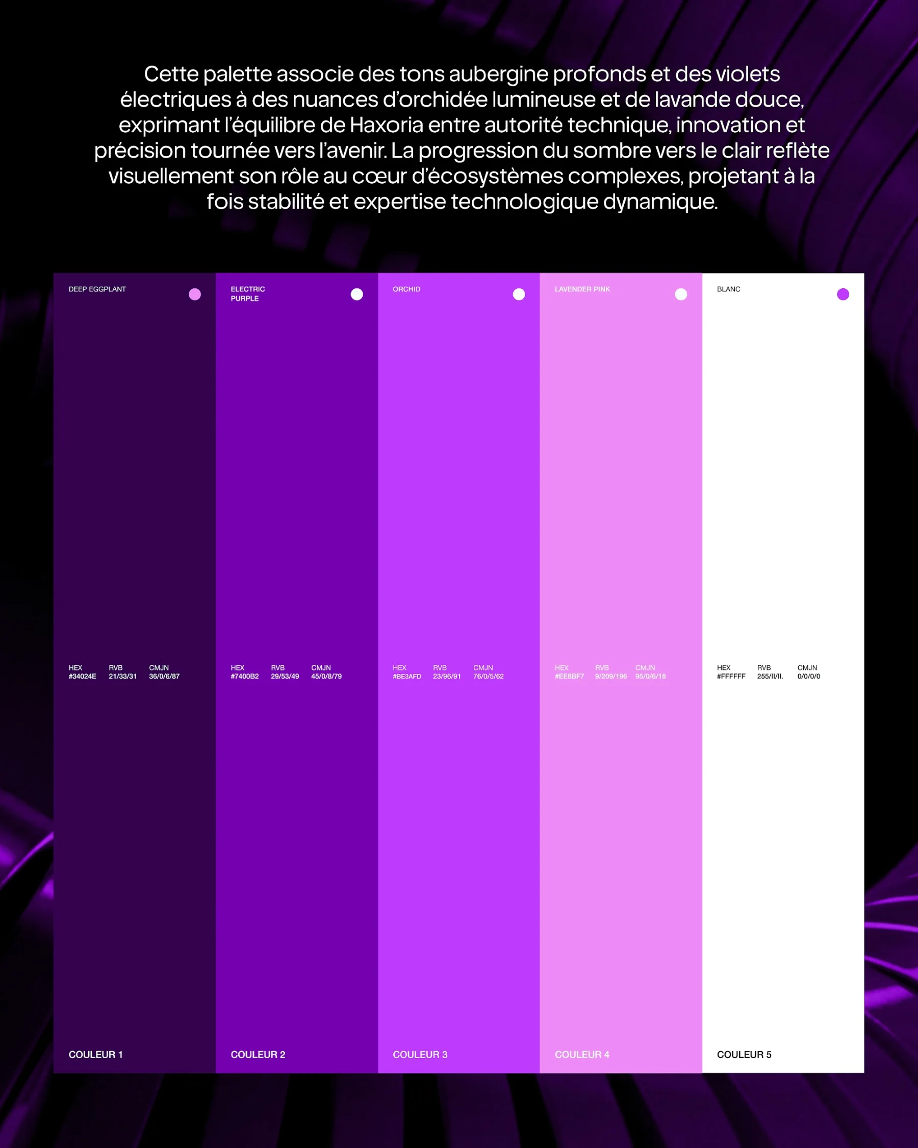 La palette Haxoria, du violet profond au rose