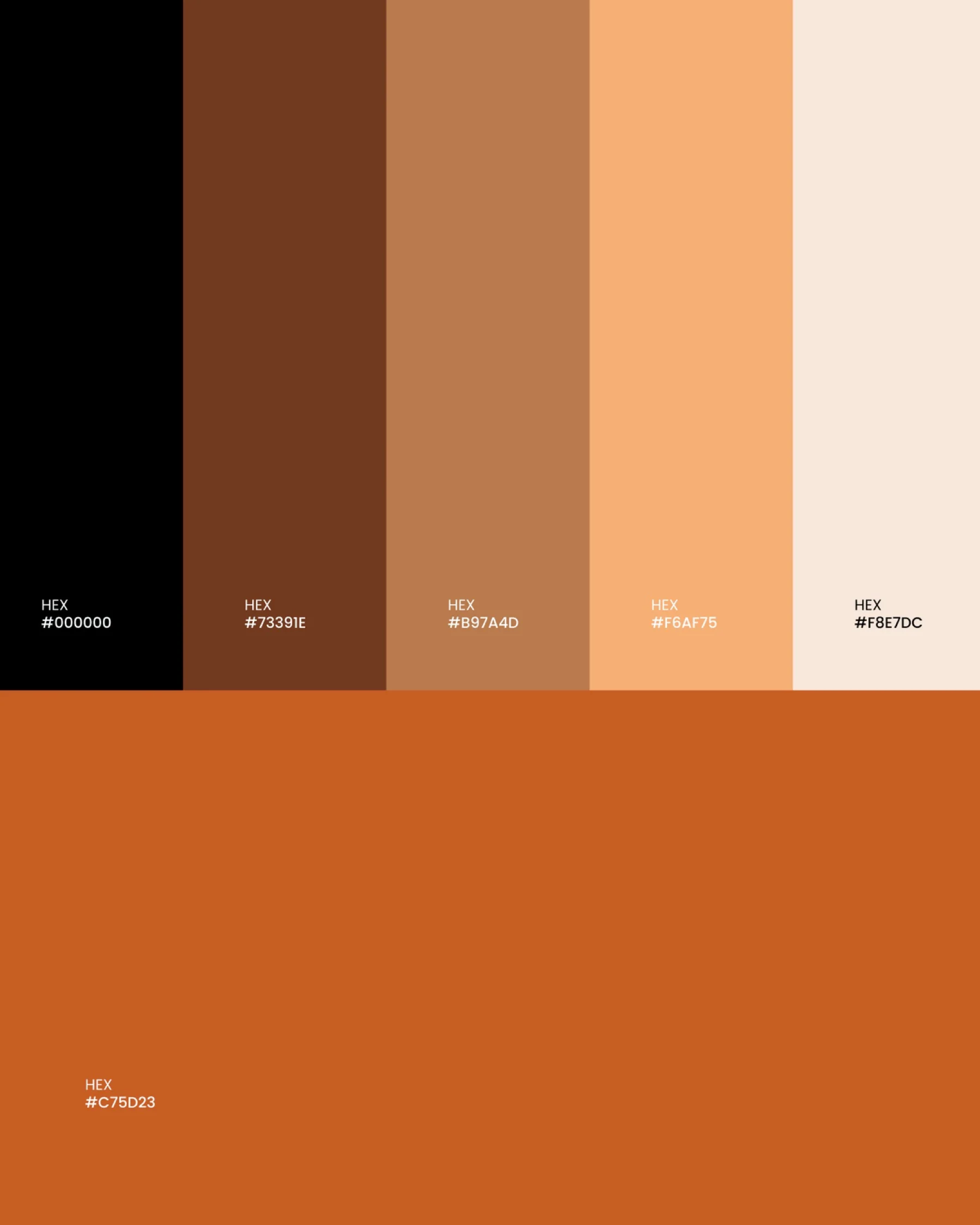La palette Pariente, du noir à l'orange
