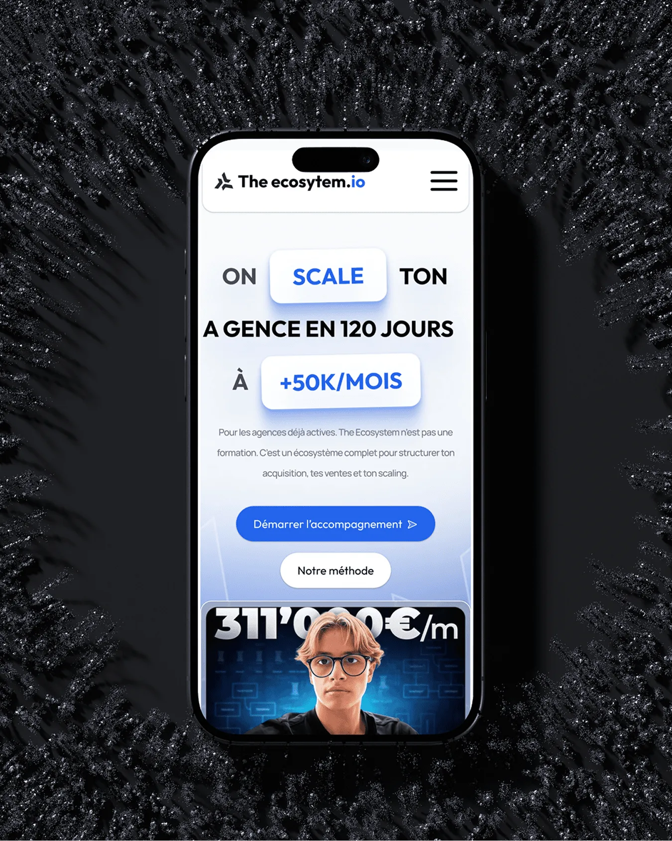 Site The Ecosystem affiché sur un smartphone