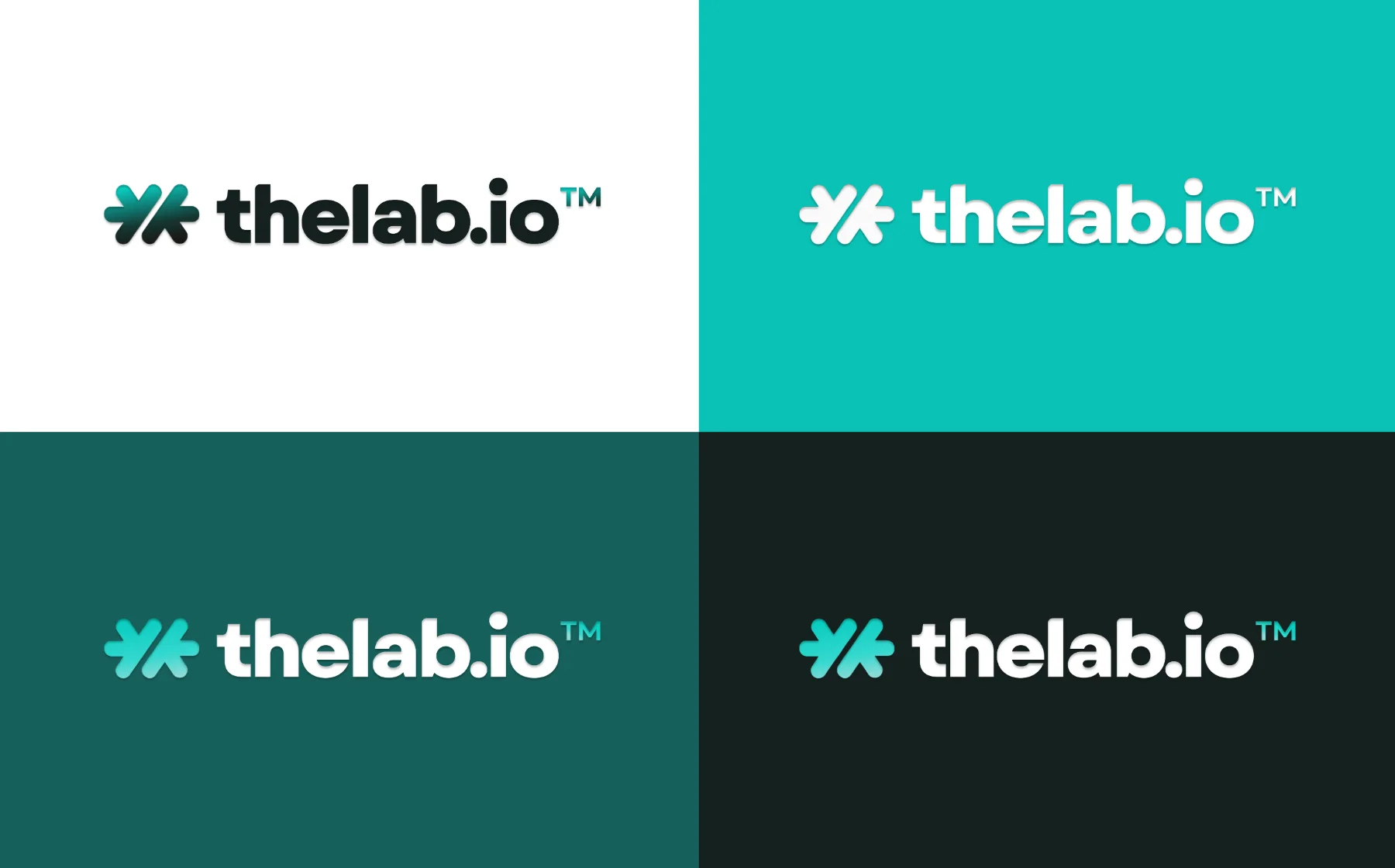 Les quatre déclinaisons du logotype