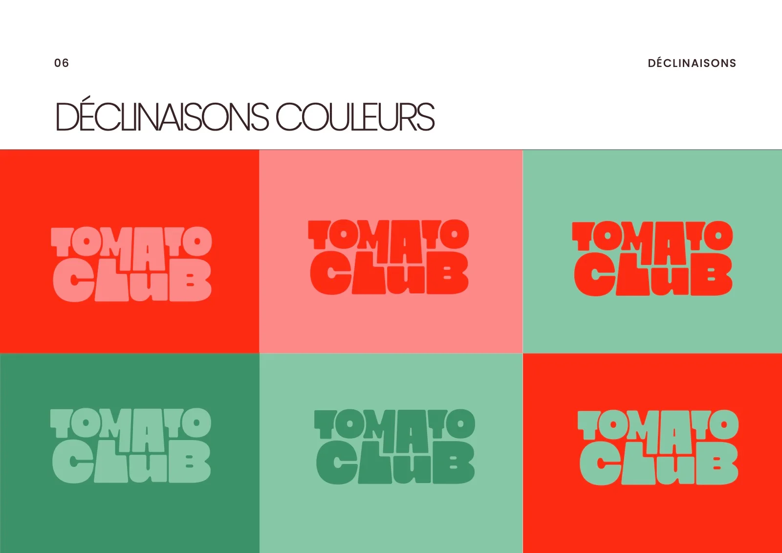 Les déclinaisons couleur du logo